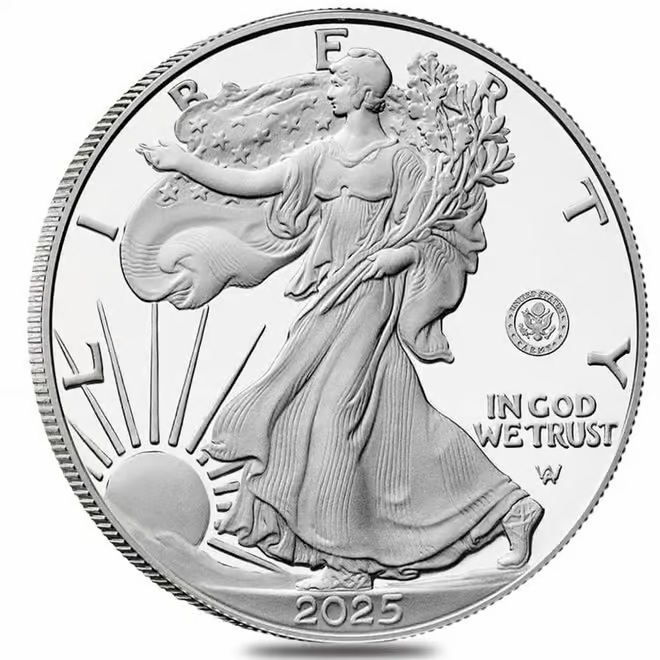 2025 Army Privy American Eagle 1 oz Silver Proof Coin