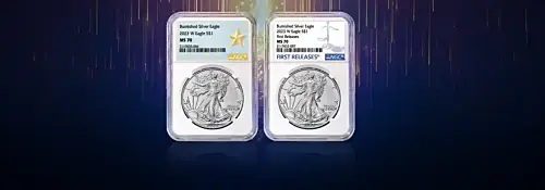 NGC & PCGS Graded Coins